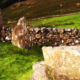 dervaig1-05ancientscotland