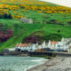 pennan8